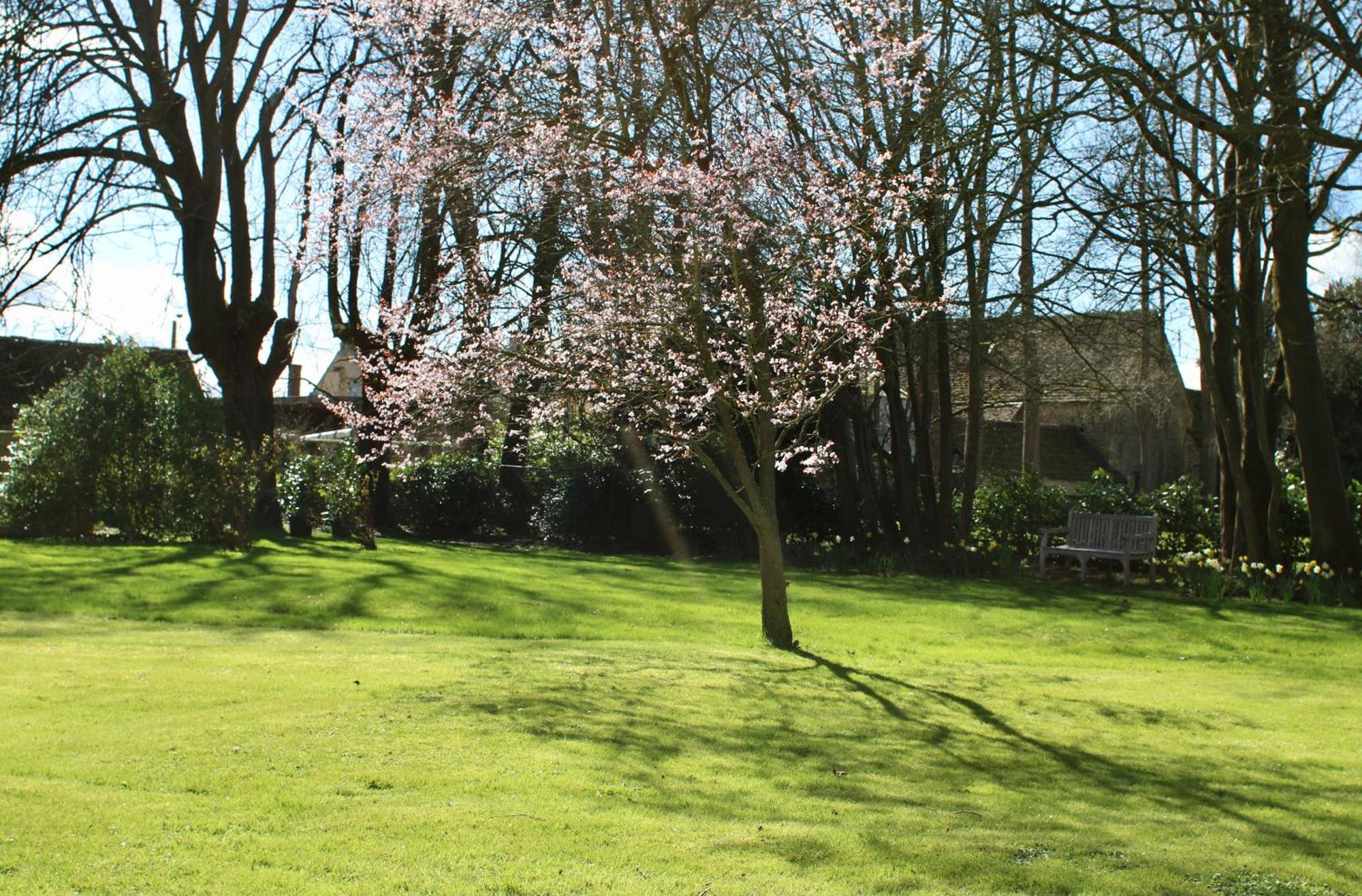 Parsonage House, Badminton Bed & Breakfast Great Badminton Dış mekan fotoğraf